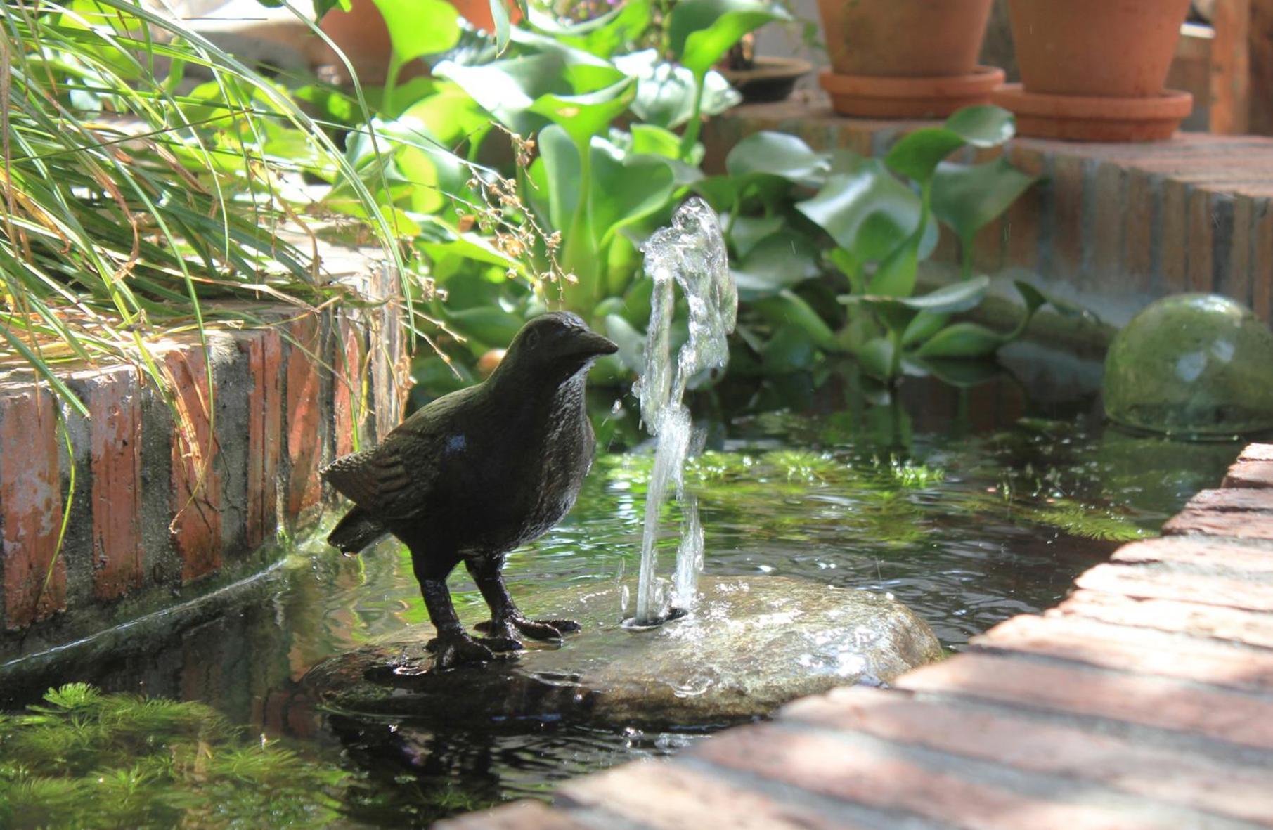 Bed & Breakfast Himmelblau Boutique Bed And Breakfast Cape Town